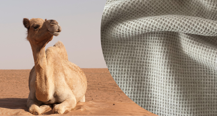 Most Desired at Textile Fairs: Introducing the Bio-Camel Blend Fabric